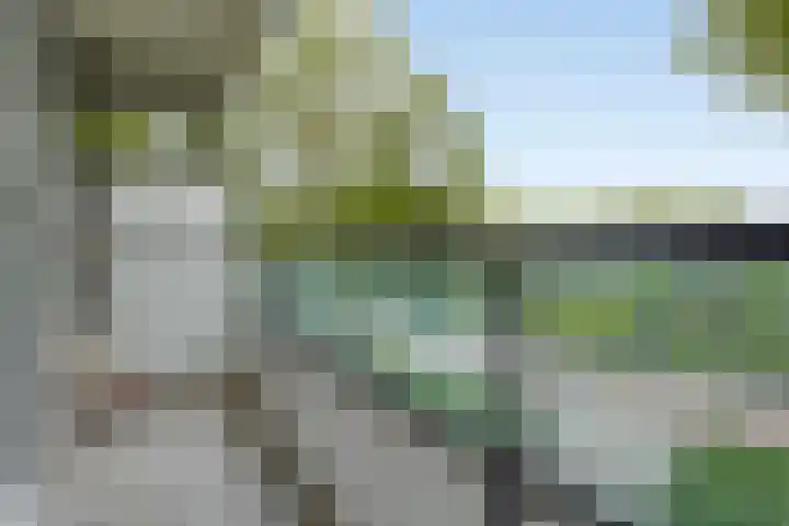 De Tinneweide 26 Veenendaal thumbnail 19