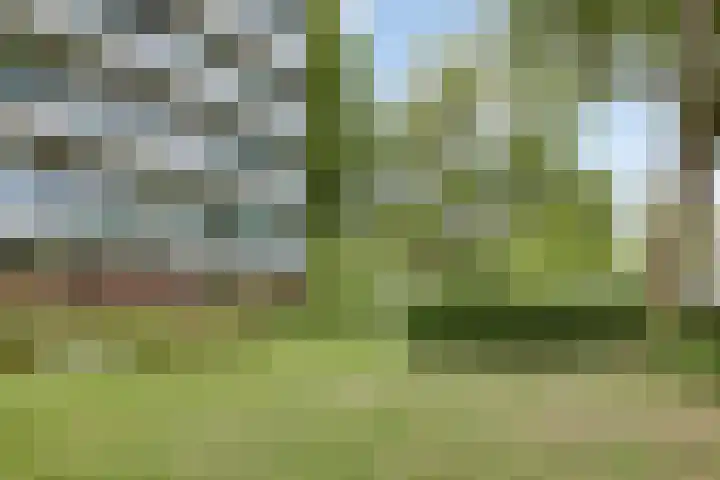 De Tinneweide 26 Veenendaal thumbnail 20