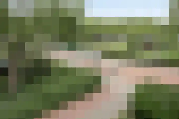 De Tinneweide 26 Veenendaal thumbnail 21