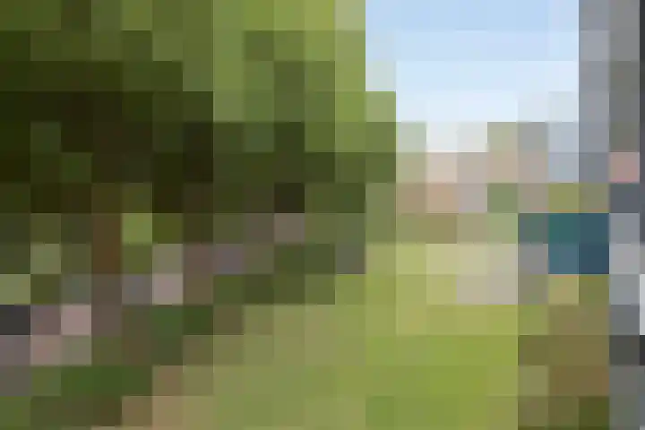 De Tinneweide 26 Veenendaal thumbnail 22