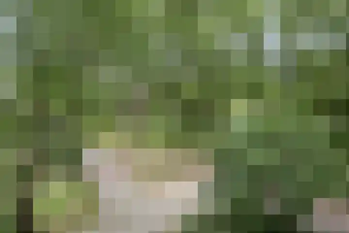 De Tinneweide 26 Veenendaal thumbnail 23