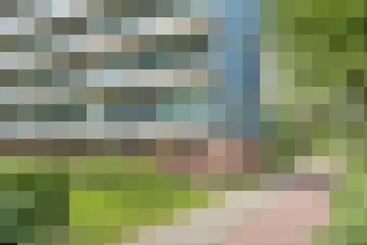 De Tinneweide 26 Veenendaal thumbnail 25