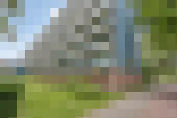De Tinneweide 26 Veenendaal thumbnail 4