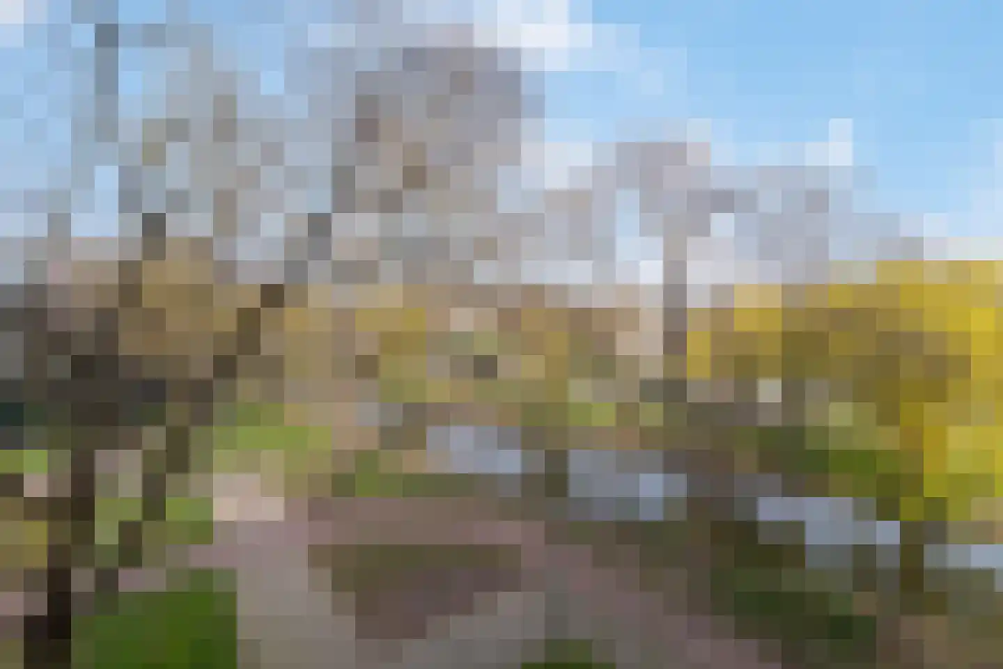 De Tinneweide 52 Veenendaal thumbnail 23
