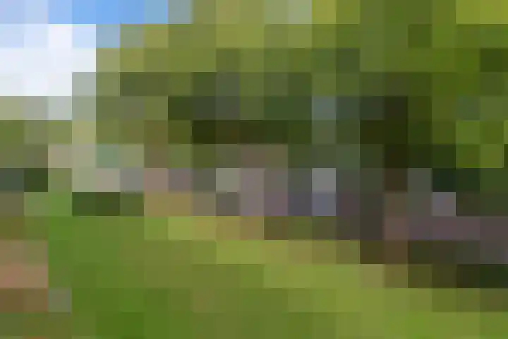 De Tinneweide 58 Veenendaal thumbnail 13