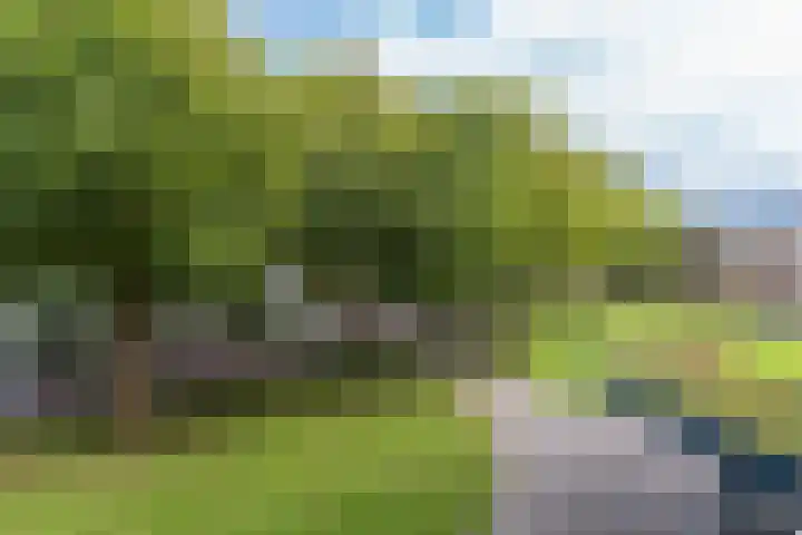 De Tinneweide 58 Veenendaal thumbnail 14