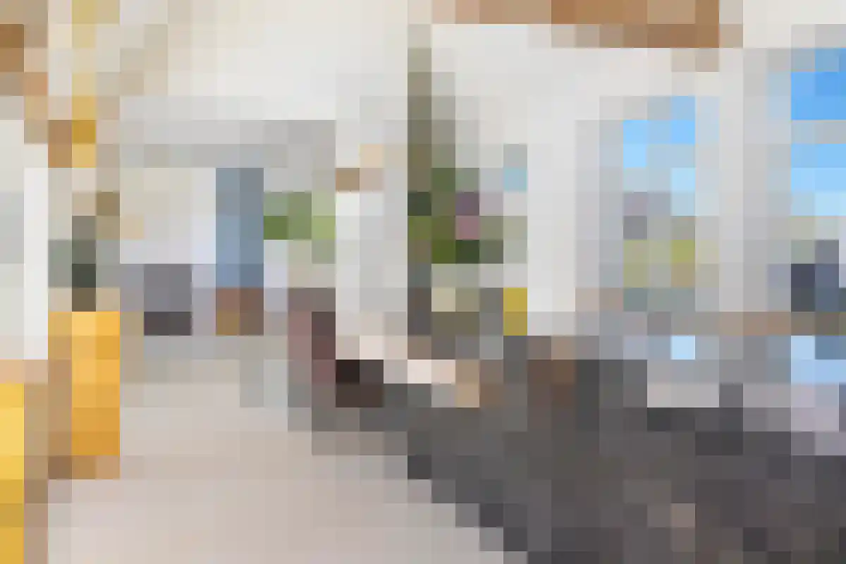 De Tip 10 Herveld thumbnail 15