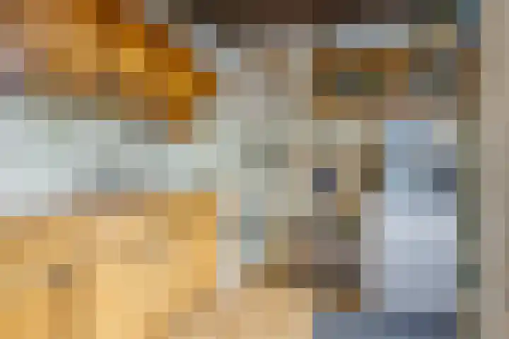 De Tip 10 Herveld thumbnail 18
