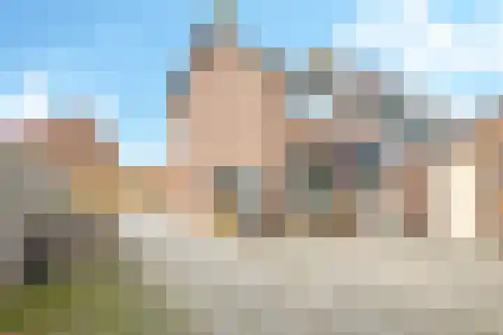 De Tip 10 Herveld foto 2