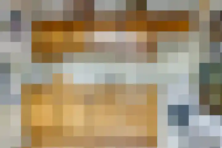 De Tip 10 Herveld thumbnail 20