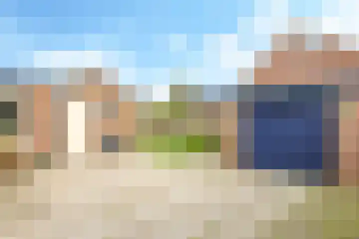 De Tip 10 Herveld foto 3