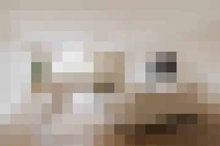 De Tip 10 Herveld thumbnail 39