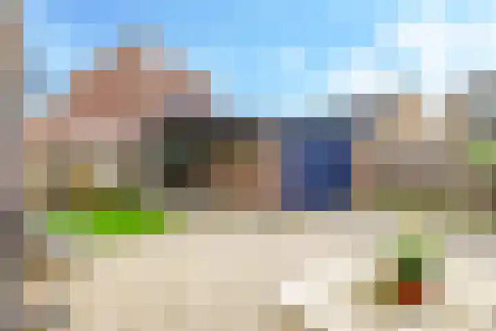 De Tip 10 Herveld thumbnail 41