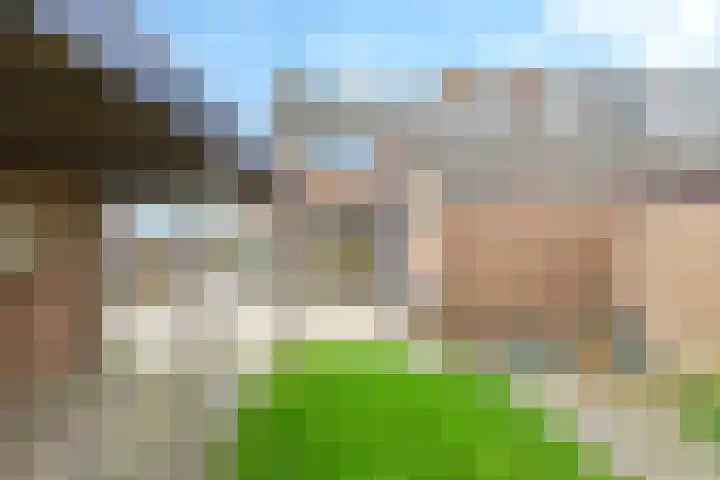 De Tip 10 Herveld thumbnail 44