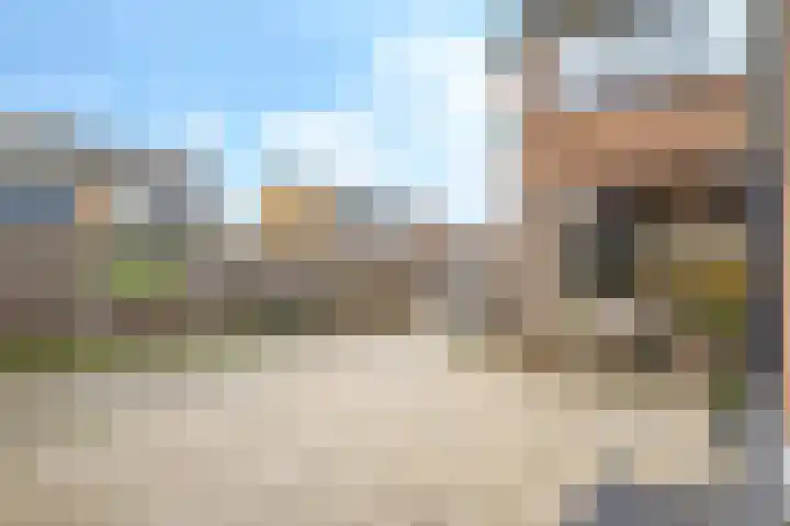 De Tip 10 Herveld thumbnail 46