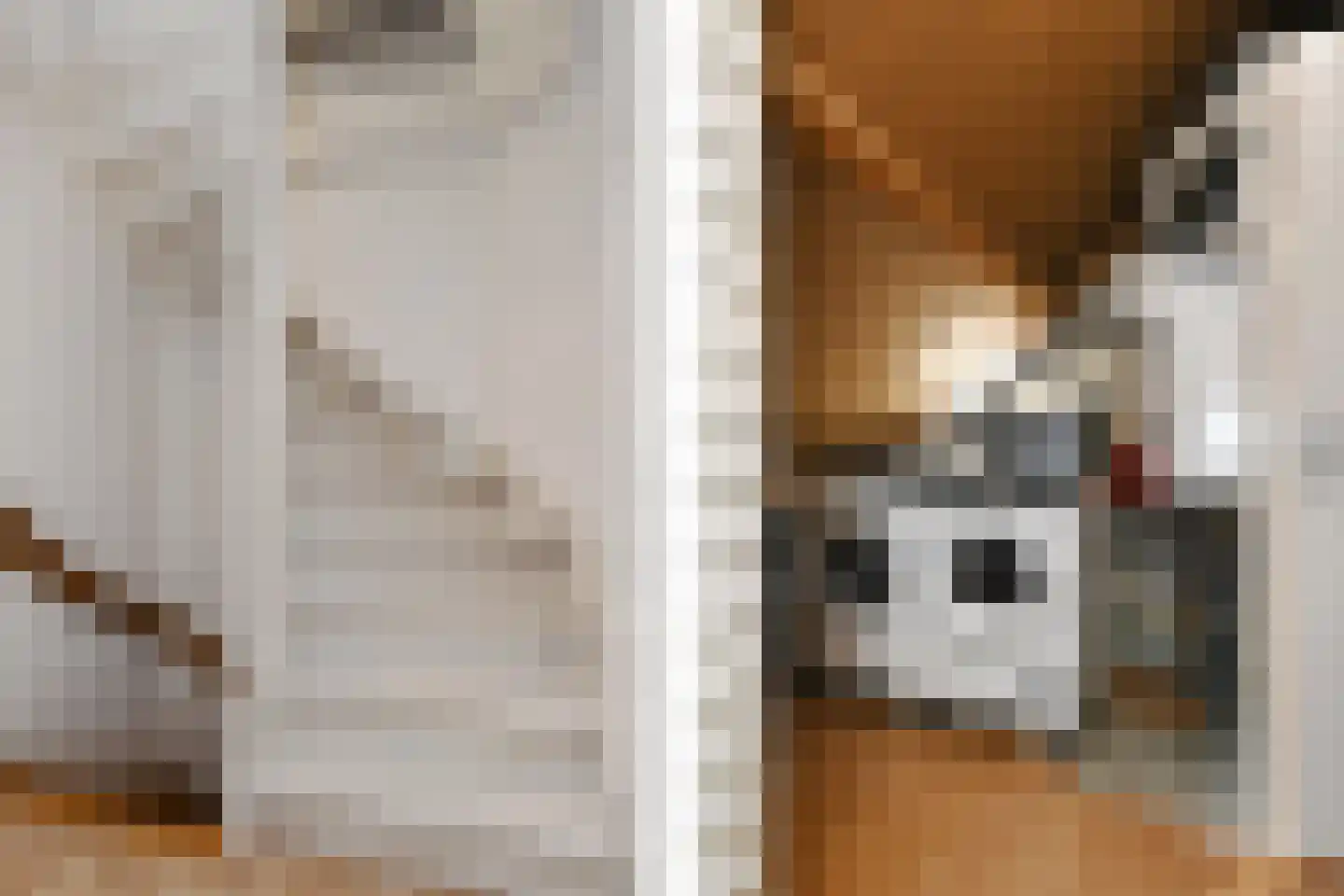 De Tip 10 Herveld thumbnail 5