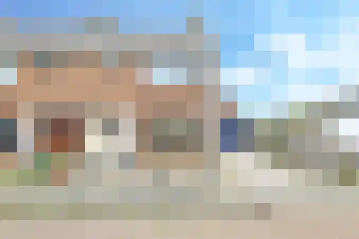 De Tip 10 Herveld thumbnail 5