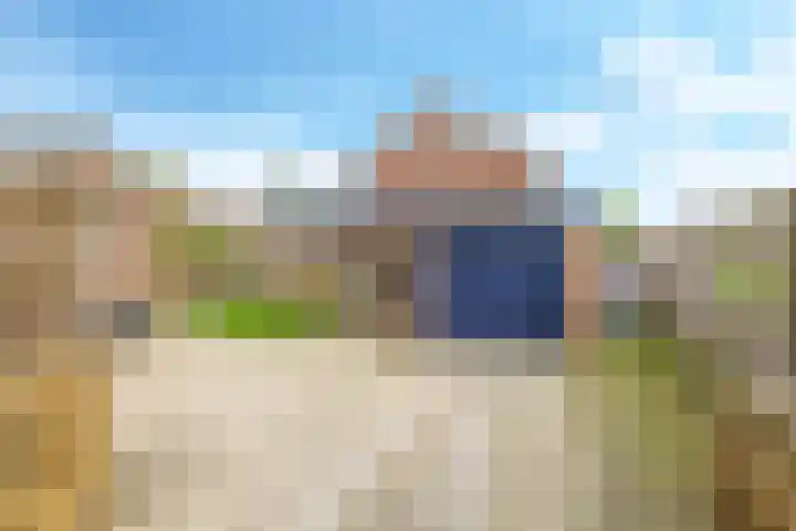 De Tip 10 Herveld thumbnail 50