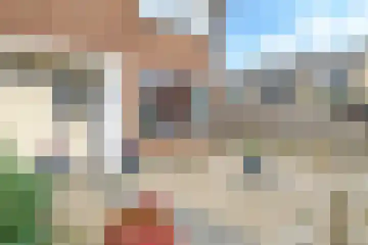 De Tip 10 Herveld thumbnail 55