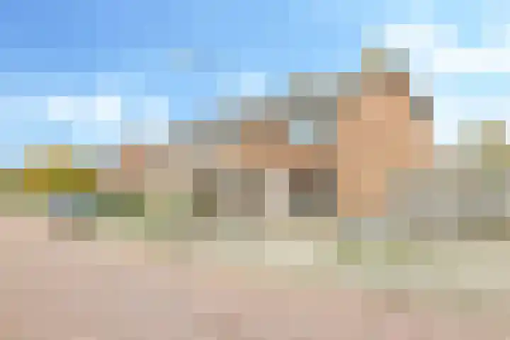 De Tip 10 Herveld thumbnail 58