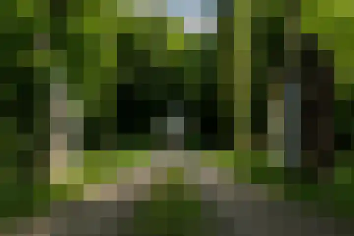 De Tip 10 Herveld thumbnail 66