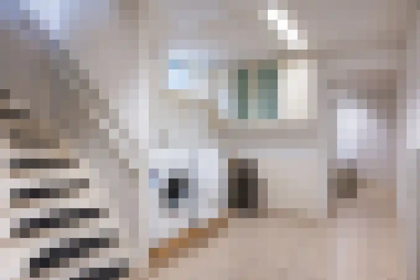De Tip 103 De Kiel thumbnail 33