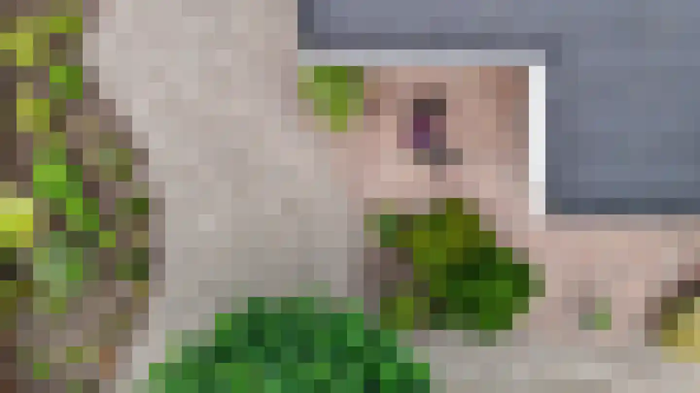 De Tip 103 De Kiel thumbnail 53