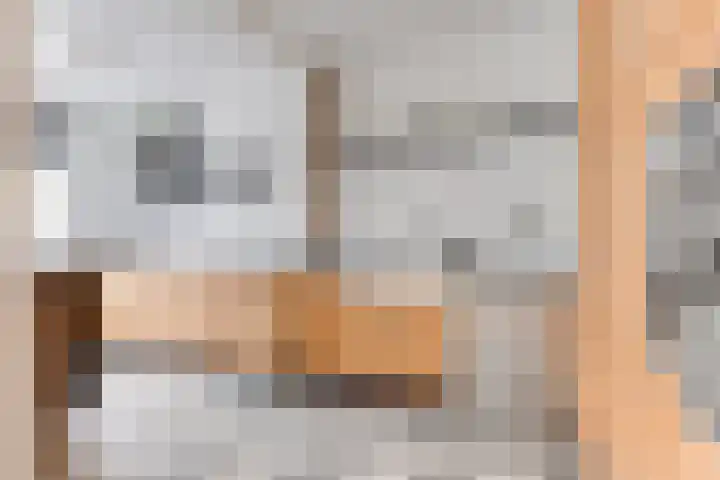 De Tip 15 Enkhuizen thumbnail 13