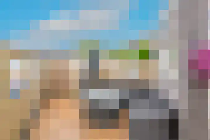 De Tip 15 Enkhuizen thumbnail 35