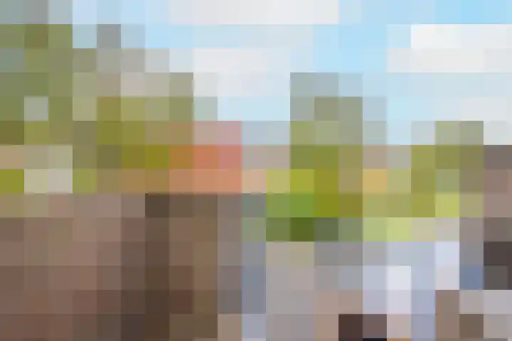 De Tip 15 Enkhuizen thumbnail 37