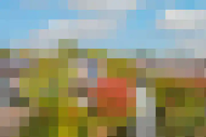 De Tip 15 Enkhuizen thumbnail 40