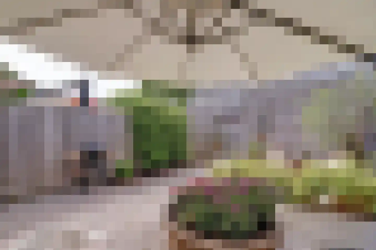 De Tip 17 Ameide thumbnail 16