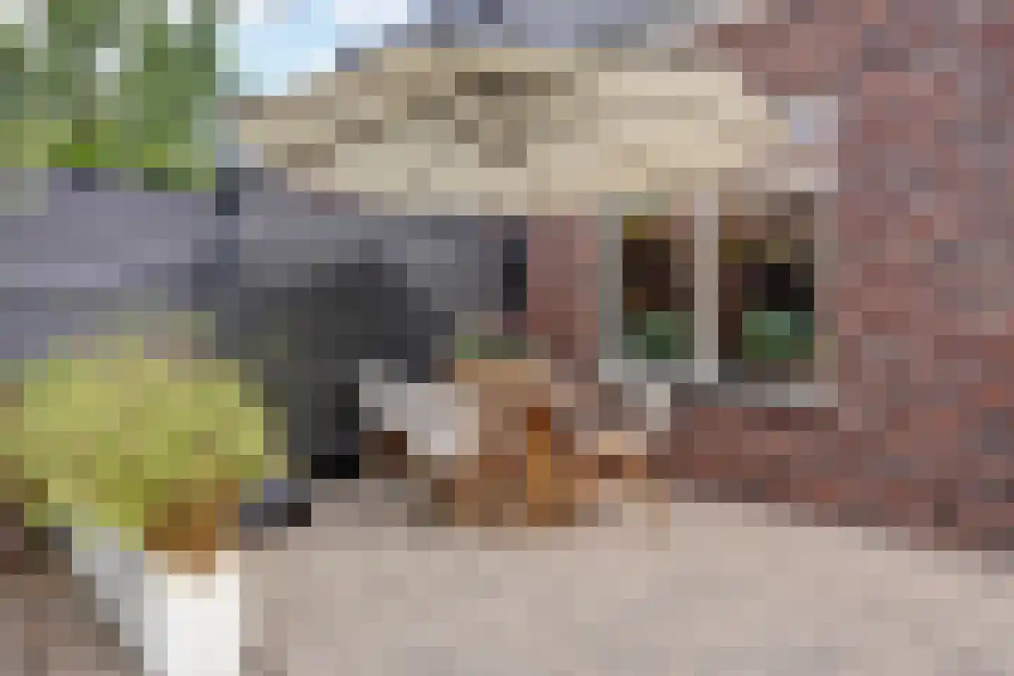 De Tip 17 Ameide thumbnail 17