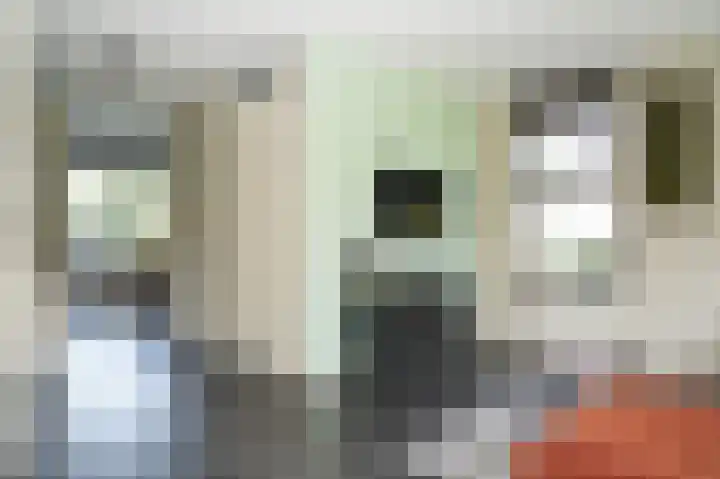 De Tip 23 Ameide thumbnail 13
