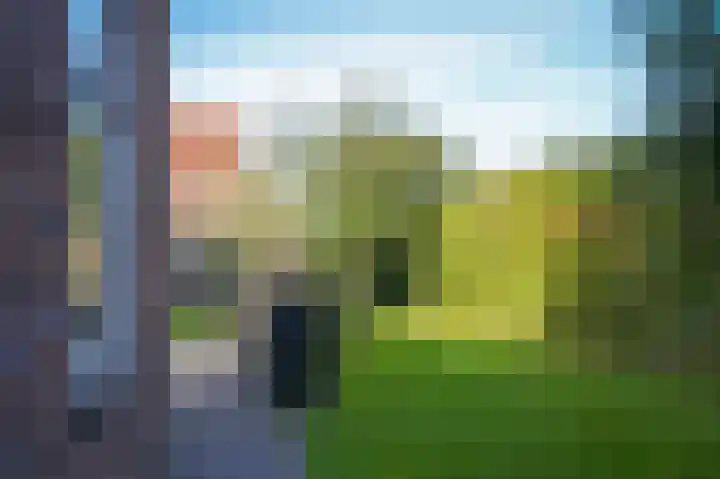De Tip 23 Ameide thumbnail 31