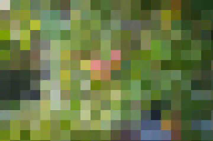 De Tip 23 Ameide thumbnail 33