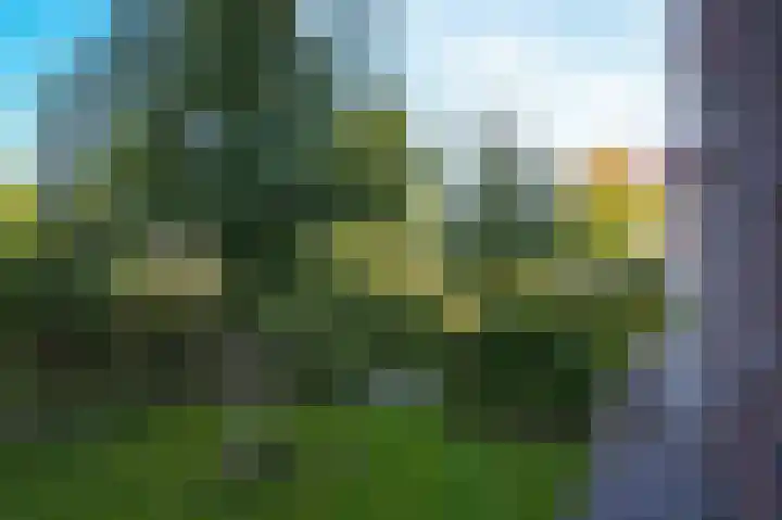 De Tip 23 Ameide thumbnail 34