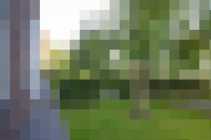 De Tip 23 Ameide thumbnail 35