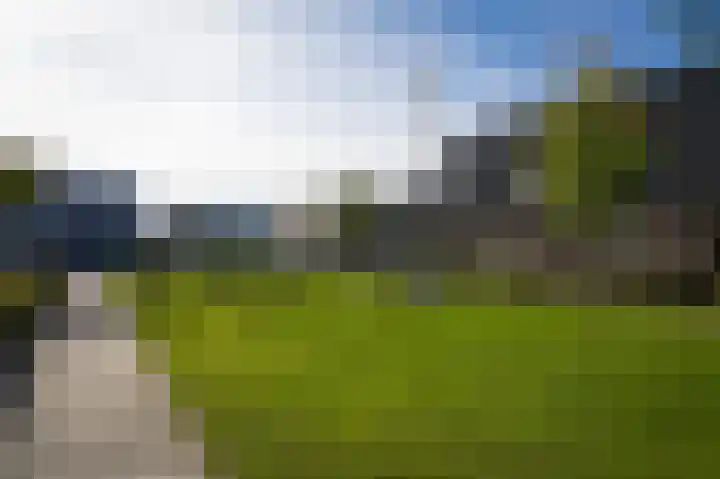 De Tip 23 Ameide thumbnail 37