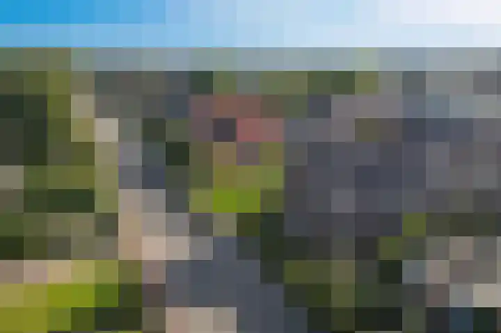 De Tip 23 Ameide thumbnail 4