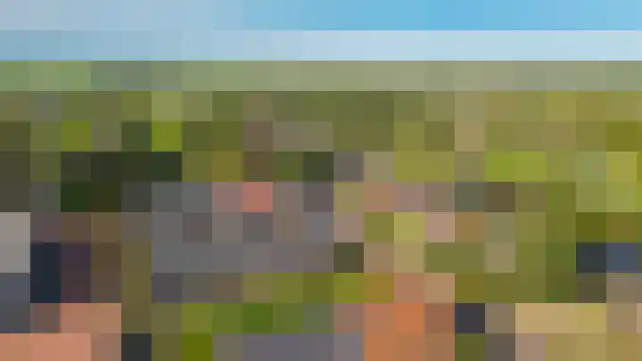 De Tip 23 Ameide thumbnail 40