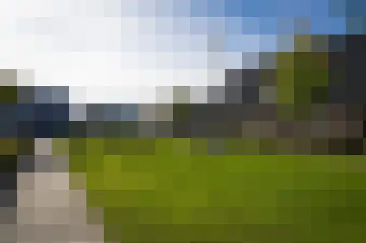 De Tip 23 Ameide thumbnail 6