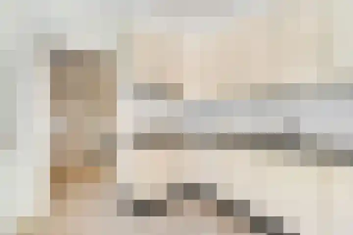 De Tip 3 Herveld thumbnail 12