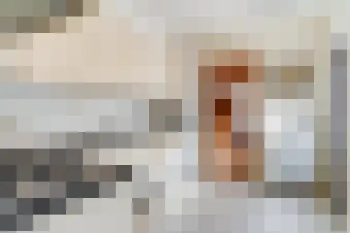 De Tip 3 Herveld thumbnail 13