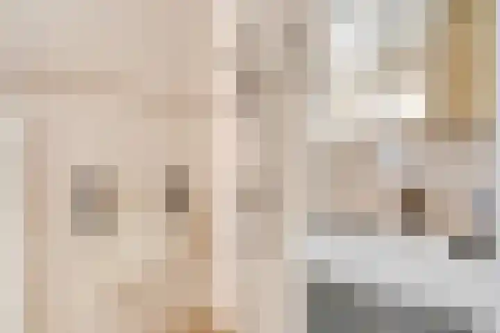 De Tip 3 Herveld thumbnail 14