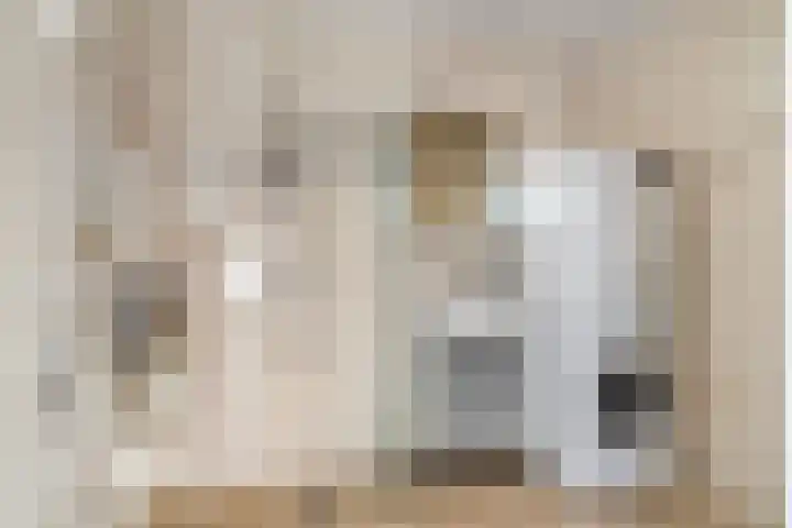 De Tip 3 Herveld thumbnail 15
