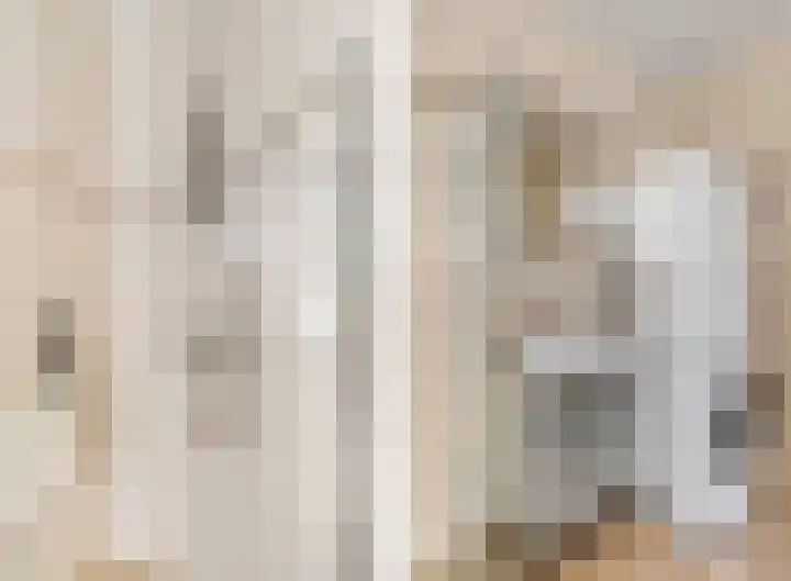 De Tip 3 Herveld thumbnail 16