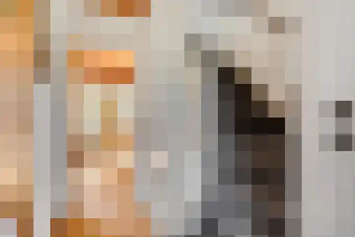 De Tip 3 Herveld thumbnail 17