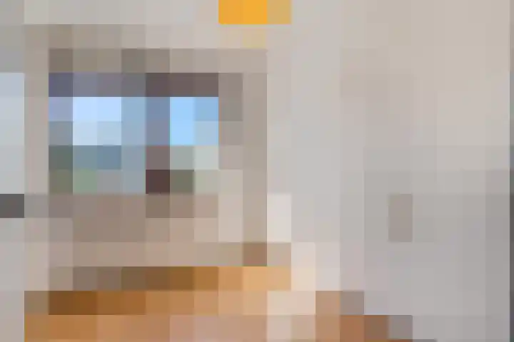 De Tip 3 Herveld thumbnail 18