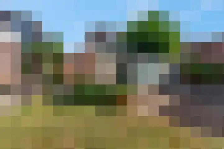 De Tip 3 Herveld foto 2